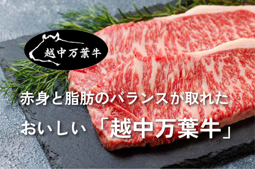 赤身と脂肪のバランスが取れたおいしい越中万葉牛